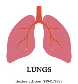 Lung icon vector illustration symbol design