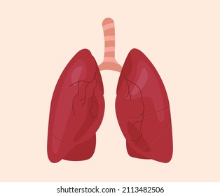 lung illustration set. Human, body Vector drawing. Hand drawn style.