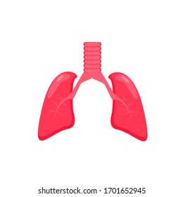 lung images as vector illustration of the human respiratory apparatus  vector illustration 