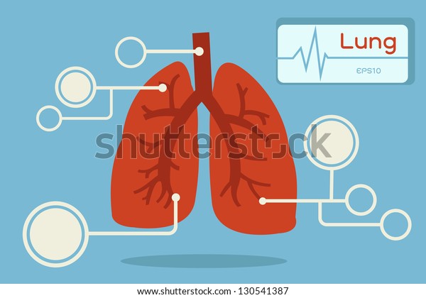 Lung Infographic Stock Vector (Royalty Free) 130541387