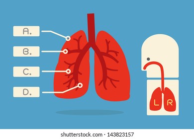 82 Infographice Images, Stock Photos & Vectors | Shutterstock