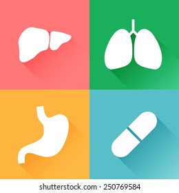 Lung, liver, stomach, capsule in a flat design