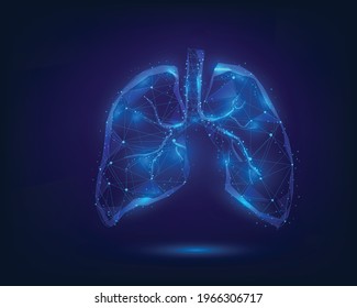 Lung Low Poly Wireframe Medical Health Stock Vector (Royalty Free ...