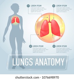 Lung. Modern medical infographics. Internal organs in a female human body. Anatomy of people