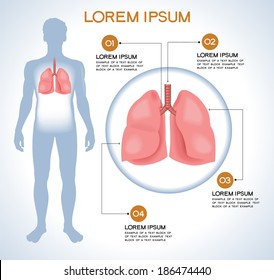 Lung. Modern medical infographics. Internal organs in a human body. Anatomy of people