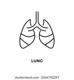 lung outline icon. Linear vector from health and medical concept. Thin line lung icon isolated on white background