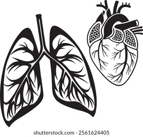 lung silhouette,lung silhouette icon,heart icon,white background