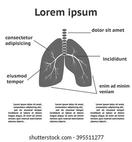 Lung structure infographic template. Can be used for medicine booklet
