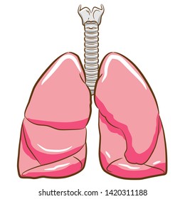 lung vector graphic design clipart