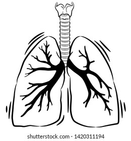 lung vector graphic design clipart