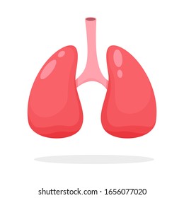 Lung vector. Lungs are the internal organs of the human body that carry oxygen into the blood. Lung function study concept.