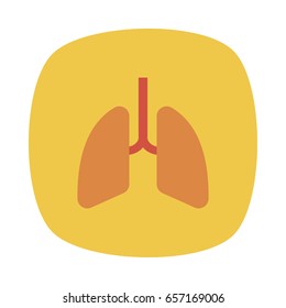 lungs