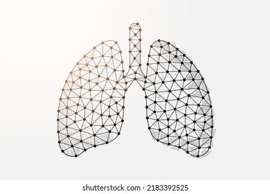 Lungs 3d low poly symbol with connected dots. Respiratory system, human transplantation design vector illustration. Organ anatomy polygonal wireframe