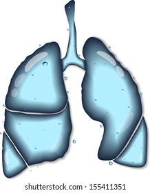 Lungs. Abstract human anatomy of lungs. Lungs as clear water concept.  