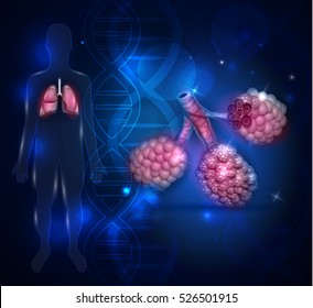 Lungs And Alveoli Anatomy, Oxygen And Carbon Dioxide Exchange Between Alveoli And Capillaries, External Respiration.