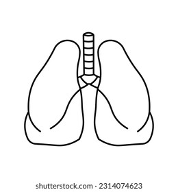 Lungs, anatomy flat line icon. Human lungs