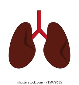 lungs anatomy icon image 