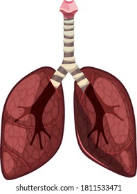 Lungs cancer icon isolated on white background illustration