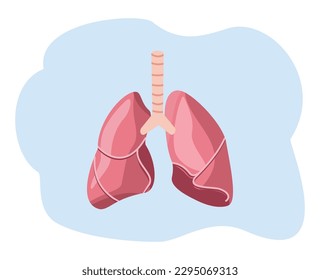 lungs cartoon vector illustration. lungs icon. lungs flat design vector. cartoon illustration of human organs