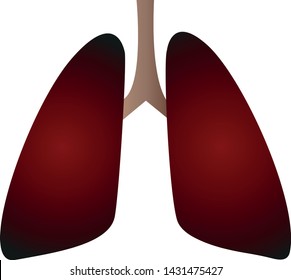 Lungs diseased and diseased by tobacco.