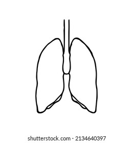 Lungs doodle vector illustration. Human internal organ line icon isolated on white background