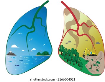 lungs of ecology of our world. The lungs of our world personifies the planet earth, the ocean should be clean from garbage, also people kill forests around the world. We have to save the nature