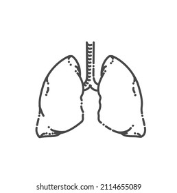 Icono de línea plana de los pulmones. Sistema respiratorio humano Anatomía de pulmones