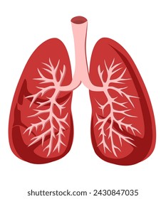 Pulmones Órganos internos de estilo plano de la anatomía humana aislados sobre fondo blanco, ilustración
