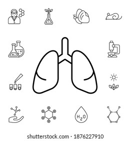 Lungs flat vector icon in biology pack