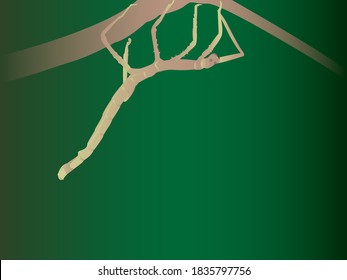 Lungs, ghost bites often die.