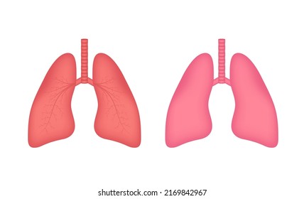Lungs, great design for any purposes. Cartoon illustration. Simple vector illustration