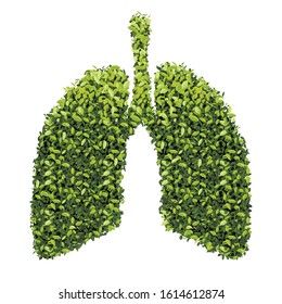 Lungs with Green leaf. Gray outline vector Medical flat illustration. Health care. Tree branches like the lungs with leaves.