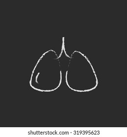 Lungs hand drawn in chalk on a blackboard vector white icon isolated on a black background.