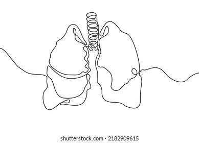 Lungs Hand drawn icon continuous line drawing. Human organs Creative abstract art background Trendy concept One single line design. Outline simple image black and white color Vector illustration