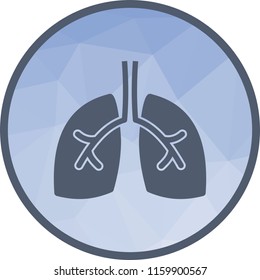 Lungs, healthy, chest