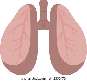 Lungs of a healthy person. Drawing in flat design.