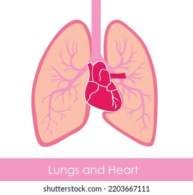 lungs and heart icon vector illustration.