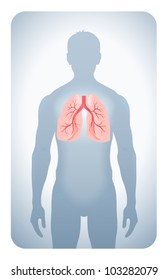 lungs highlighted on the silhouette of a man