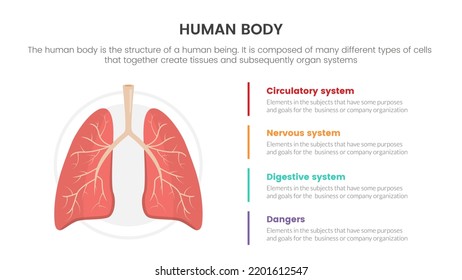 lungs human anatomy infographic concept for slide presentation with 4 point list data information