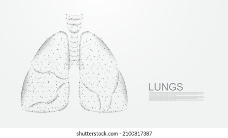 Lungs of human anatomy structure line connection. Low poly wireframe design. Abstract geometric background. vector illustration.