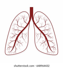 Lungs. Human lungs anatomy symbol. Vector illustration