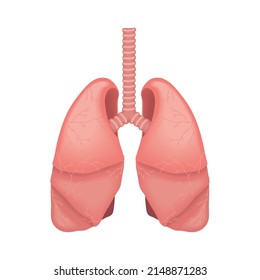 lungs human body part, realistic icon