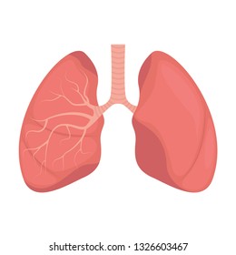 Lungs - human internal organ. Illustration of human lungs. Vector illustration.