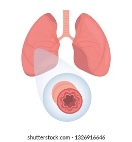 Lungs - human internal organ. Illustration of human lungs. Vector illustration.