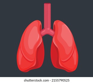 Lungs, Human internal organ illustration