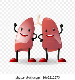 Lungs. Human internal organ realistic organ happy character with face isolated against transparent background. Design element for Health care,medicine,anatomy education.Human respiratory organ