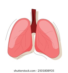 Lungs human internal organ Vector . Human lungs. Sars disease, coronaviruses in the lung. 