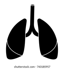 Lungs human organ