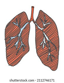 lungs human organ drawing. doodle simple drawing sketch vector