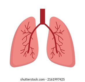Lungs human organ. Vector illustration